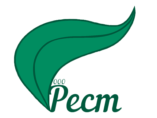 Логотип ООО Рест